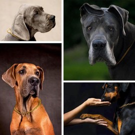 Gold Chain Dog Choke Collars for Large Dogs,Heavy Duty Training Choker Collar for Dogs Metal Slip P Link Martingale Collars Puppy Chain for XXS XS Small Medium Large Breed Dogs, M