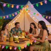 Solar Summer Hawaiian Outdoor Lights, 16Ft 40 LED Flamingo Pineapple