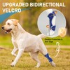 Supet knuckling Brace for Dogs, Comfortable Foot Brace, Ankle Brace