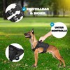 DOLCEPAW Dog Harness for Medium Dogs, Dog Harness, No Pull,