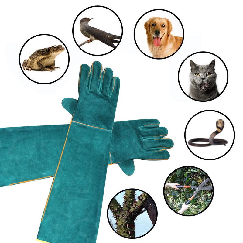Anti Bite Safety Gloves Long Leather Protective Gloves Pets Grasping