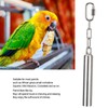 Squirrel Bells Stainless Steel Bells Toys for Birds Large Parrot