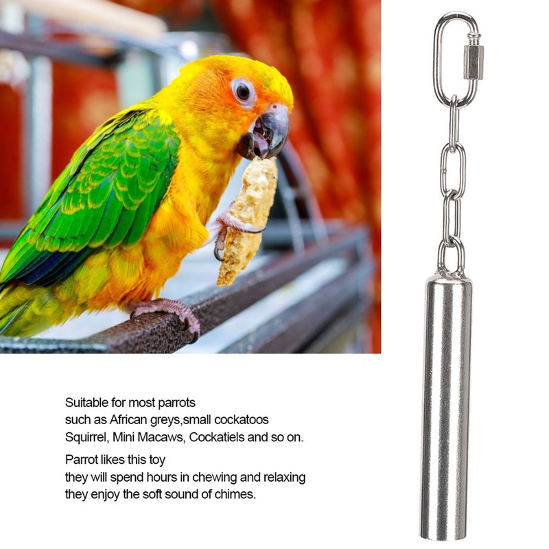 Squirrel Bells Stainless Steel Bells Toys for Birds Large Parrot