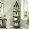 Brown Bookshelf Wall & Display Shelvescolor: Brown Color