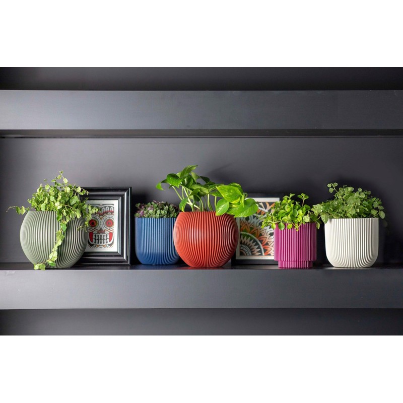 Capi Europe - Bowl Ball Groove Colours - 12x10 -