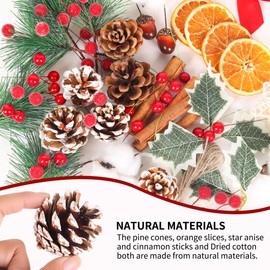 LEUOSO Christmas Wreath Making Supplies, 215Pcs Xmas Wreath Making Kit Artificial Berries Pine Branches Dried Orange Slices Acorn Cinnamon Stars for Christmas Wreath Craft Decoration