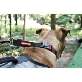 新東亜交易 EzyDog Checkmate , blk