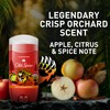 Old Spice Aluminum Free Deodorant for Men, 24/7 Odor Protection,