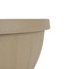 The HC Companies 12 Inch Terra Roma Hanging Planter for