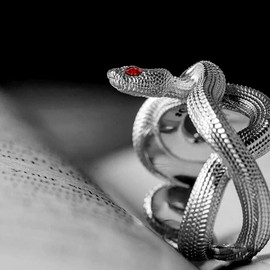 THJEW Unisex Antique Silver Wrap Snake Ring,Cool Retro S925 Sterling Silver Punk Gothic Cocktail Party Ring,Vintage Snake for Men Women (Ring_A, 11)
