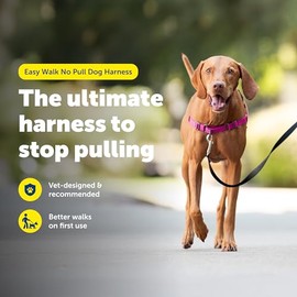 PetSafe Easy Walk Arnés para Perro, Anti tirones, Frambuesa/Gris, M