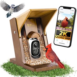Gallnack Smart Bird Feeder with Camera Outdoors, Biomimetic Design, 2K Video, AI Identify Bird Species & Instant Notifications, Vicohome App and Anti Squirrel Alarm, Solar Powered, Gift for BirdLovers