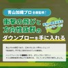 Aoyama Kaori Pro Supervised by the Down-Blow Master Golf Practice