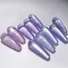 Divock Divok Unicorn 10 Piece Set Magnetic Gel Glitter Gel