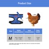 Rumyve Adjustable Chicken Harness Belt and Matching Belt,Small Pet Walk