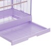 Pet Products Clear View Glass Bird Cage Crystal Palace for