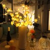 Orquideas Flores Orquídeas Luces Led Decoración Hogar Regalo Mamá Amor