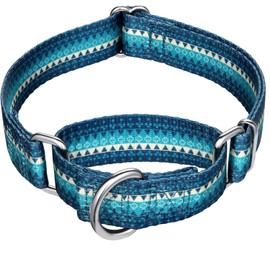 Dazzber Martingale Collars for Dogs, Turquoise Green, Neck 8 Inch -11 Inch, Heavy Duty No Pull No Escape Dog Collar for Extra Small and Mini Dogs