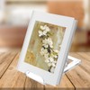TERDEWE 10 Pack Acrylic Book Stand for Display Adjustable Clear
