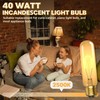 TrustWheel 40W T10 120V Light Bulbs,E26 40 Watt Bulbs for