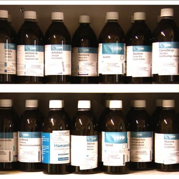 EPS Orthosiphon Pileje Extrait de plante, 500 ml
