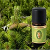 Primavera Organic Fragrance Oils for Aromatherapy 5 ml Each Scent: