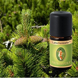 Primavera Organic Fragrance Oils for Aromatherapy 5 ml Each Scent: Mountain Pine Organic