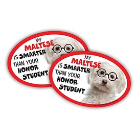 Prismatix Decal 2 Dog/Cat Oval Magnets for Cars, Lockers, Refrigerators, Maltese