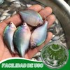Trampa de peces trampas de minnow para cebo trampa de