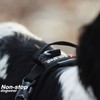 Non-stop dogwear Line Harness Grip 219 Guide and Everyday Harness,