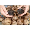 Garlicious Grown Australia Black garlic unpeeled 50g