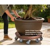 SIAMO 20" Heavy Duty Plant Caddy (570lbs Capacity)-Lockable Non-Scratch Swivel