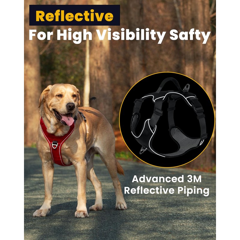 APDEXY No Pull Dog Harness with 2 Leash Clips, Reflective