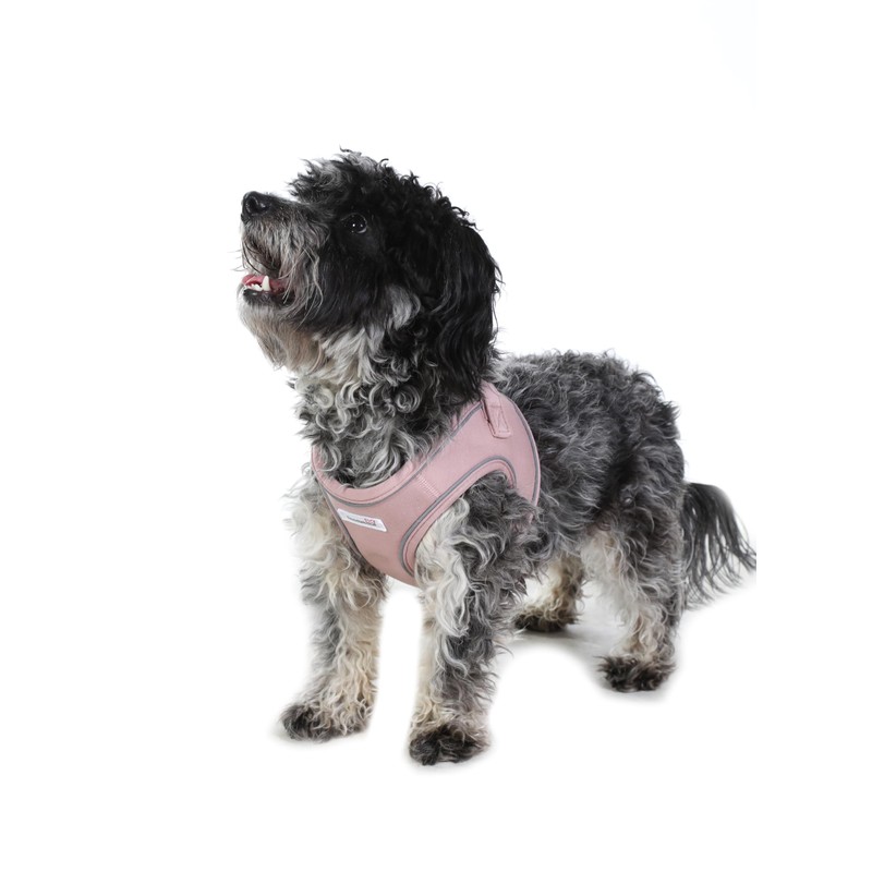 Doodlebone Dinky Dog Snappy Harness (Chalky Pink, 2)