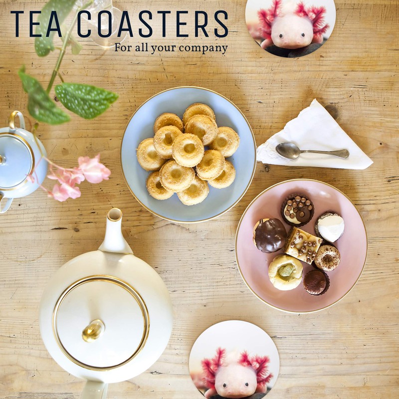 1 x Axolotl Aquarium Dragon Fish - Round Coaster Kitchen