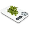 Ozeri Rev Digital Kitchen Scale with Electro-Mechanical Weight Dial, Gray