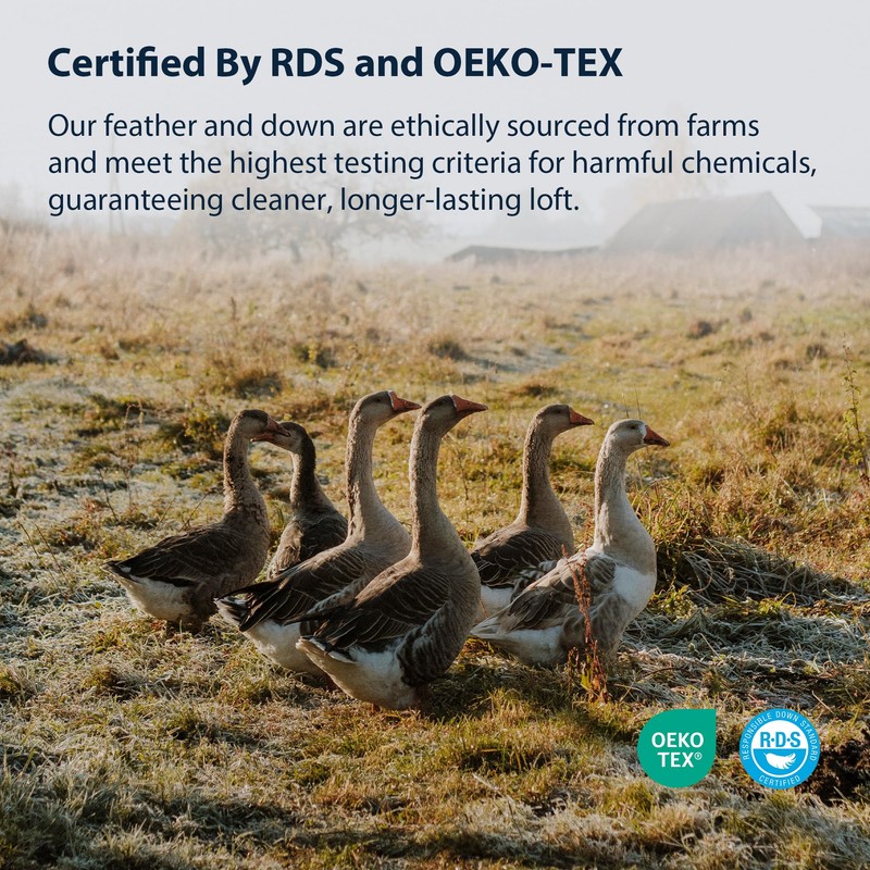 Pacific Coast Bed Pillow, Luxury Hotel Collection Goose Feather &