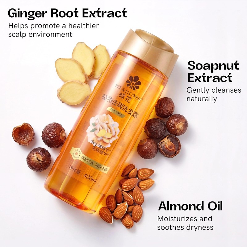 B FENG HUA Anti Dandruff Shampoo Oil & Flake Control
