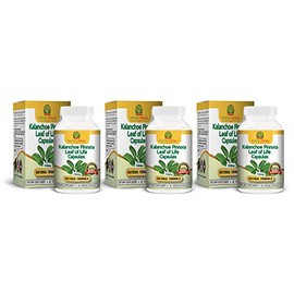 Nature Herbal Life Kalanchoe Pinnata-Leaf of Life-Cathedral Bells 750mg Vegetarian Capsulas. (3 Bottles) 90-Days Supply. de Kalanchoe Pinnata., 60 Count (Pack of 3), 180.0 Count