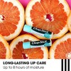 ChapStick 100 Natural Pink Grapefruit Lip Butter 12-5ml Tray