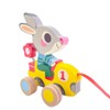 Djeco Pull Along Toy - Roulapic