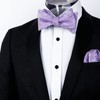 Alizeal Mens 2pcs Self-tied Paisley Bow Tie and Pocket Square