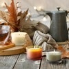 SHOWIN Thick Candle Jars for Making Candles 16 Pcs, 4