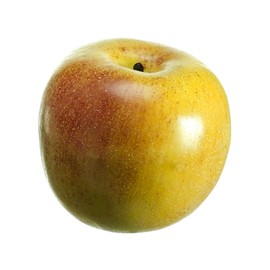 3.25" Weighted Gala Apple Red Green (Pack of 12)