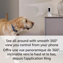 Introducing Ring Pan-Tilt Indoor Cam | See all around with 360° pan coverage, HD video, plus Two-Way Talk (2024 release) | Black