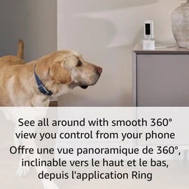Introducing Ring Pan-Tilt Indoor Cam | See all around with 360° pan coverage, HD video, plus Two-Way Talk (2024 release) | Black