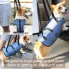 Coodeo Dog Lift Harness, Pet Support & Rehabilitation Sling Lift