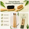Boar Bristle & Horsehair Bamboo Toothbrush 2 Pack, Plastic &