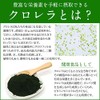八重山クロレラプレミアムパウダー 60g入り クロレラ粉末 ヤエヤマクロレラ 無添加