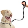 SunGrow Nylon Dog Leash, Pet Training Tool with Padded Handle